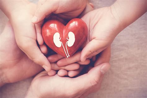 The T Of Life Hca Healthcare Leads Nation In Live Donor Kidney