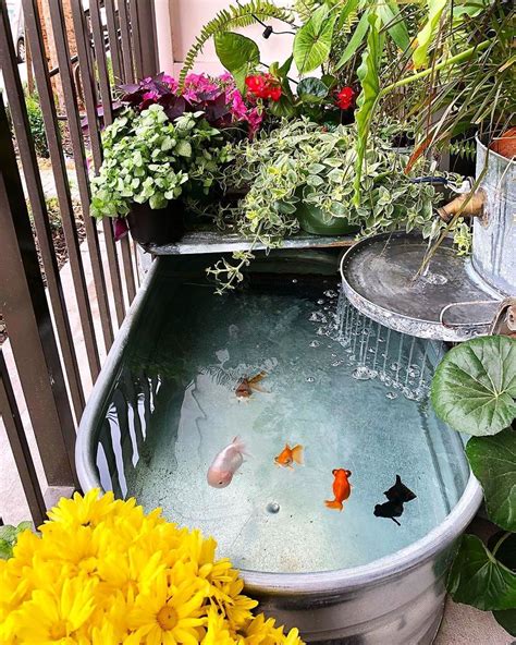 Indoor Goldfish Ponds Design Ideas Fish Pond Gardens Pond Design