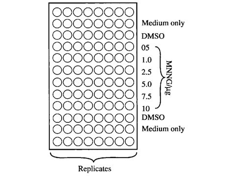 Arrangement Of Samples In A 96 Well Plate For Mtt Assay After Mnng