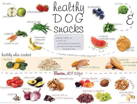 If you are on a budget and. Human Foods that are Safe and not Safe for Dogs and Pets ...