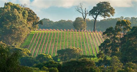 Wa Wineries Best Western Australia Wine Regions And Wineries Halliday