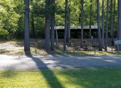 Alabamas Paul M Grist State Park Is Perfect For A Summer Day Trip