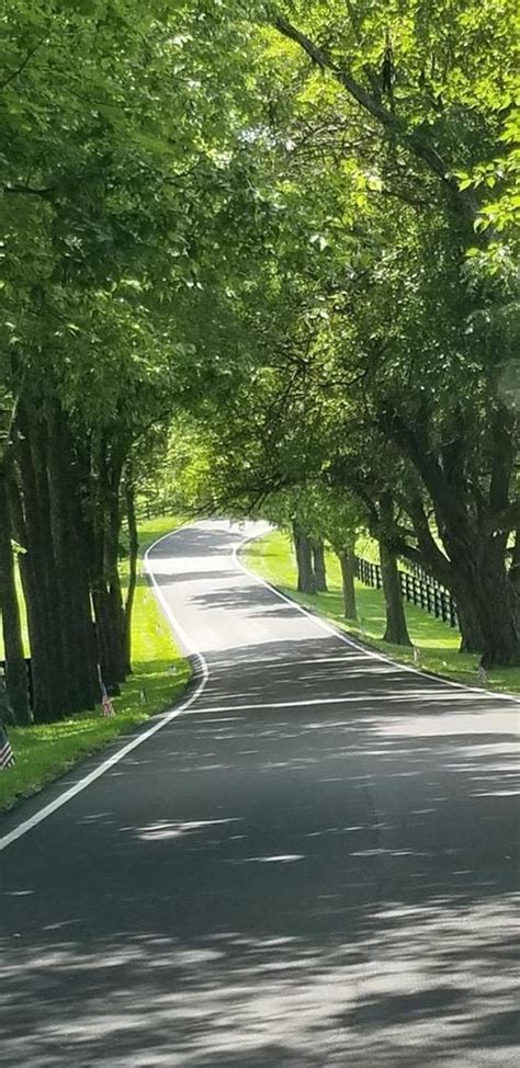 The Scenic Kentucky Back Road You Simply Must Drive This Summer