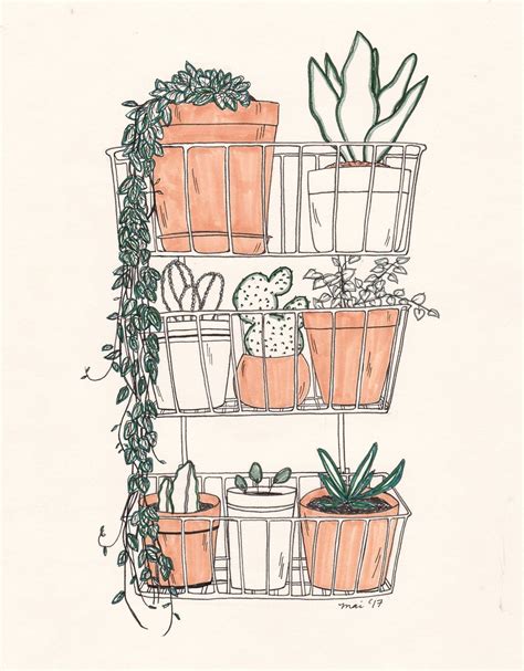 Plants Are Friends Flower Drawing Plant Drawing Flower Line Drawings