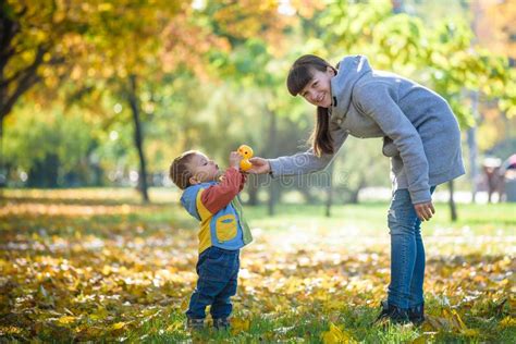 Happy Young Mother Playing With Baby In Autumn Park With Yellow Maple