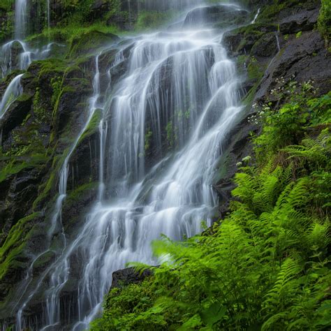Download Wallpaper 2780x2780 Waterfall Beautiful Rocks Fern Moss