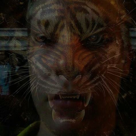Cool Im Scary Angry Tiger Tiger Wallpaper Tiger Artwork