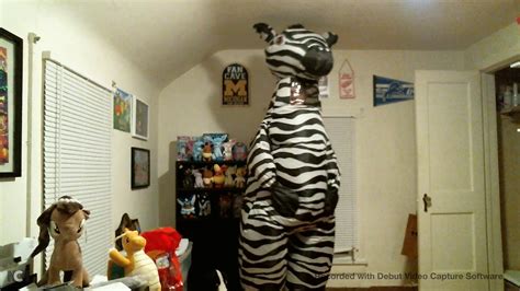 Inflatable Zebra Youtube