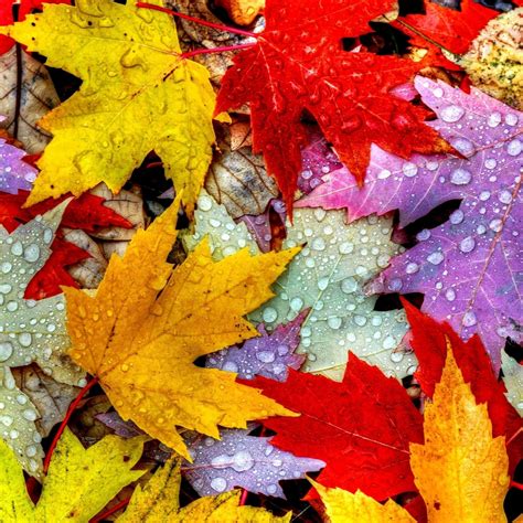 Find millions of popular wallpapers and ringtones on zedge™ and personalize your phone to suit you. Kappboom - Cool Wallpapers!