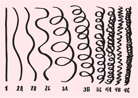 Curly Hair Types Chart And Textures Guide The Ultimate Hair Type Guide