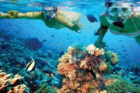 8 Best Snorkeling Spots In The Caribbean To Feel The Best