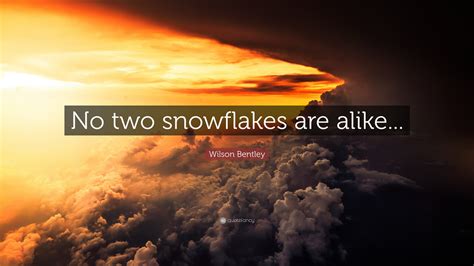 Wilson Bentley Quote No Two Snowflakes Are Alike