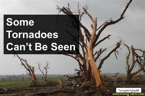 Tornado Facts 15 True Twister Facts About Tornadoes Interesting Facts