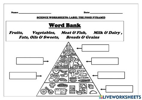 Food Pyramid With Labels