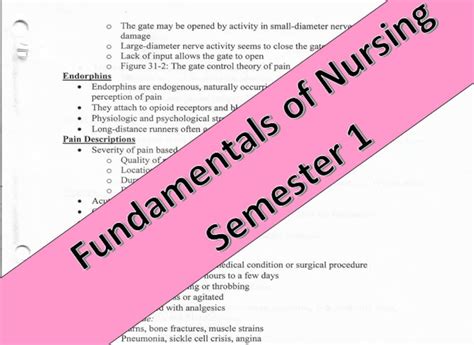 Fundamentals Of Nursing Notes Etsy