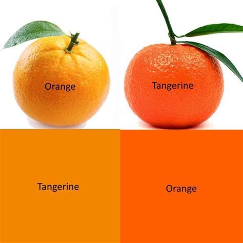 Orange Colored Fruit