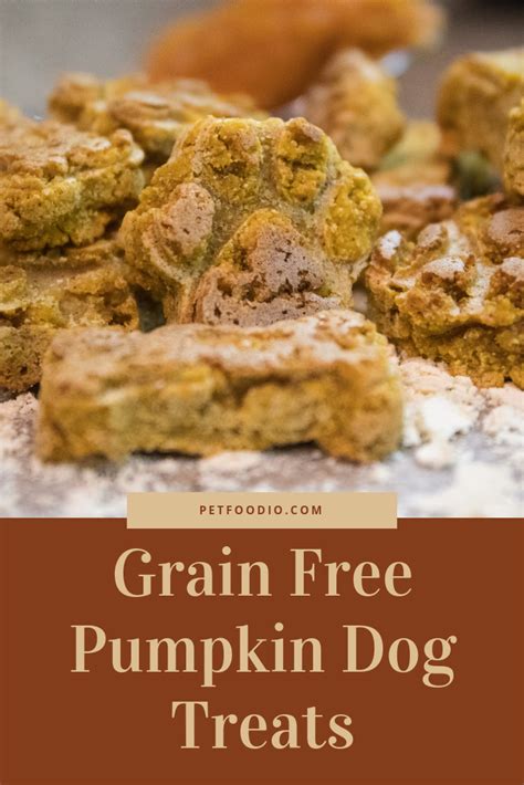 Mixture should form a patty that is not too sticky. Homemade Grain Free Pumpkin Dog Treats-Easy and Delicious ...