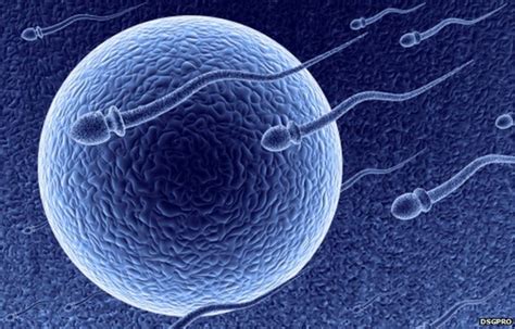 Uk Sperm Bank To Be Opened In Birmingham Bbc News
