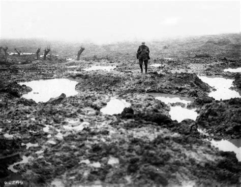 Exhibition Depicts The Horrors Of The Battle Of Passchendaele Rnz