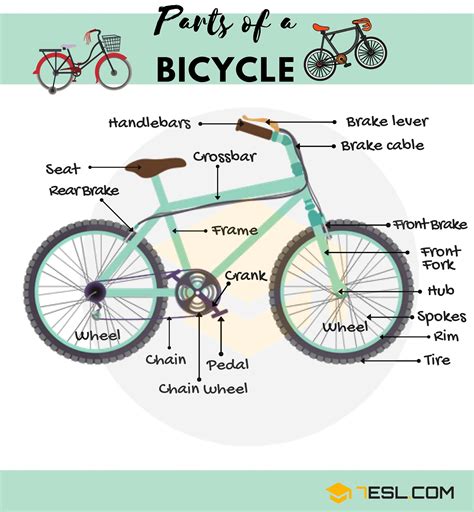 Bicycle Parts Useful Parts Of A Bike With Pictures English As A