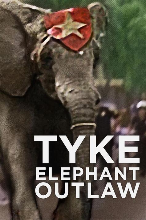 Tyke Elephant Outlaw Film 2015