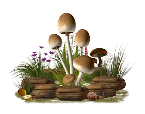 Mushroom Png Transparent Image Png Svg Clip Art For Web Download