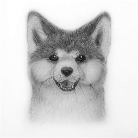 Puppy Drawing By Panda Kiddie On Deviantart