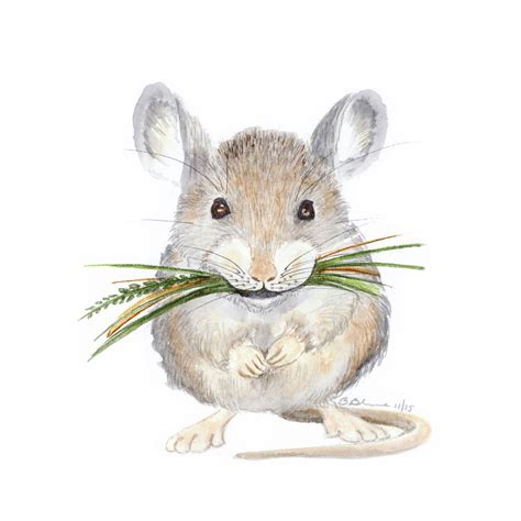Mouse Illustration Woodland Animal Prints Woodland Nursery Art