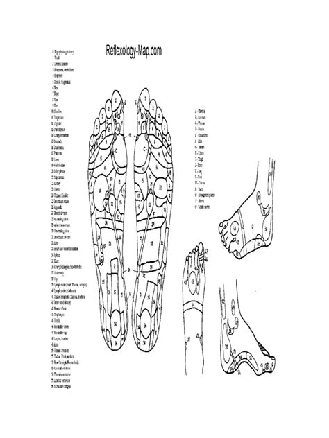 Acupressure And Massage Chart 8 Free Templates In Pdf Word Excel
