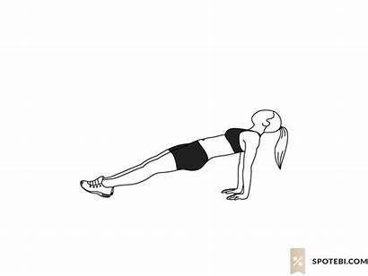 Plank Reverse Exercise Leg Raises Spotebi Workout