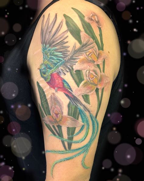 megan rosenoirtattoo on instagram “the national bird and flower of guatemala the quetzal and