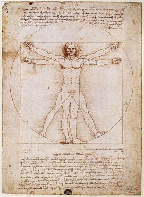 Leonardo Da Vinci S Vitruvian Man Explained Owlcation