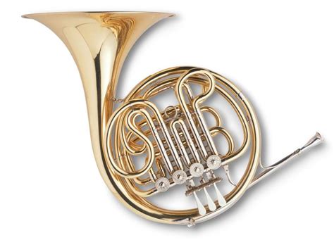 French Horn 10 Handpicked Ideas To Discover In Other