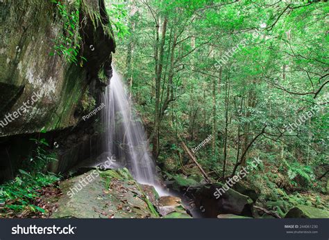 Waterfalls Caves Rainforest On Forest Conservation Stock Photo