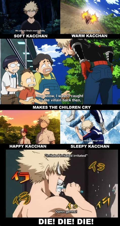 Pin By Saka On Reaction Images Love Memes My Hero My Hero Academia Images