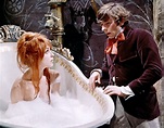 THE FEARLESS VAMPIRE KILLERS (1967) Reviews and overview - MOVIES and MANIA