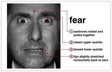 Micro Facial Expressions 103 Fear And Surprise Read Body Language