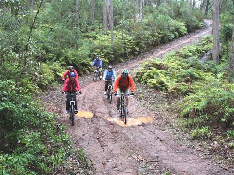 Barrington Tops Mountain Bike Tours Nsw Holidays And Accommodation