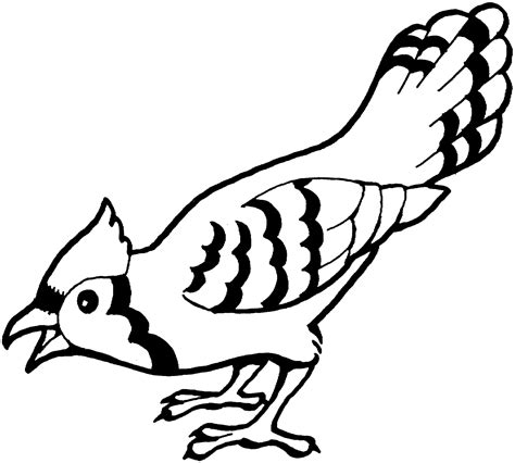 Printable Bird Coloring Pages