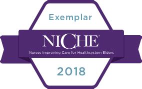 One of the best ways to share values is by telling a story that is an example of. Geriatric Nursing Program (NICHE) | Fort Sanders Regional ...