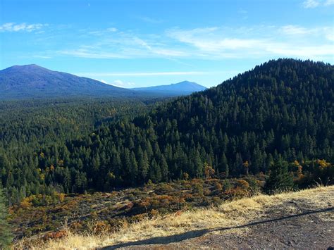 배경 화면 산 숲 나무 잔디 푸른 하늘 캘리포니아 미국 2880x1800 Hd 그림 이미지