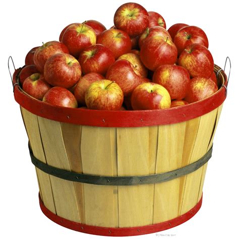 Download Apple Of Material Cider Apples Basket The HQ PNG Image png image