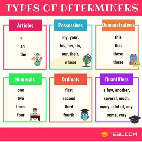 Determiner Definition Types List And Useful Examples Of Determiners