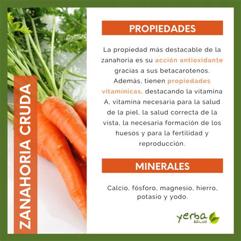 Conoces los beneficios de la Zanahoria Yerbasalud Herboristería