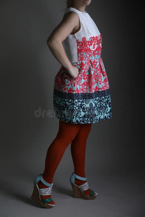 Elegant Colored Dress For Women In Studio Stock Photo Image Of