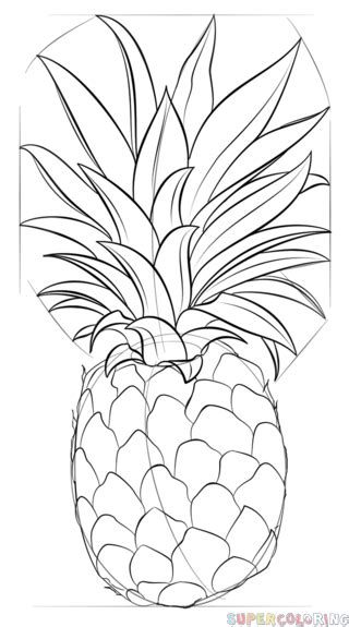 Jak Narysować Ananasa W 9 Krokach Pl