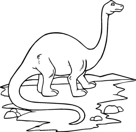 Amazing Animal Apatosaurus Coloring Pages Best Place To