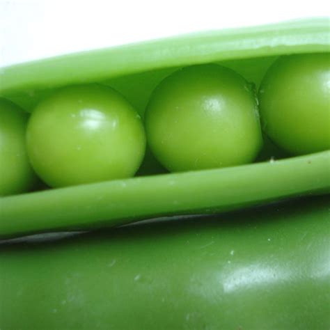 Life Sized Peas In A Pod Actually Made Of Wax Artificial Fruit