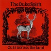 The Duke Spirit - Love is an Unfamiliar Name :: Indie Shuffle