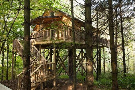 Berlin cabins · best rate guarantee · no hidden fees Wild Cherry Romantic Treehouse in Amish Country (Holmes ...